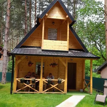 Brvnare Borove Iglice